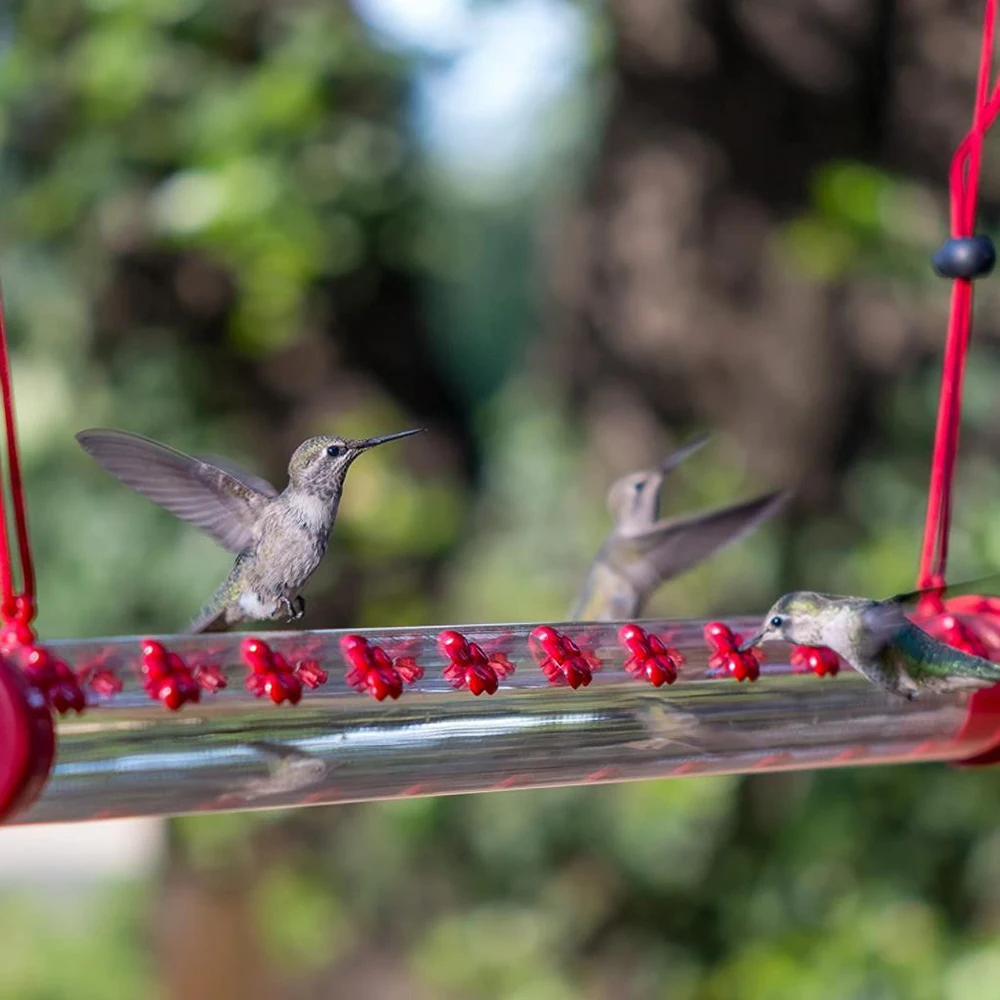 Hummingbird Feeders Easy to Clean Hanging Bright Red Transparent Tube Feeder For Outdoor  Bird Feeder