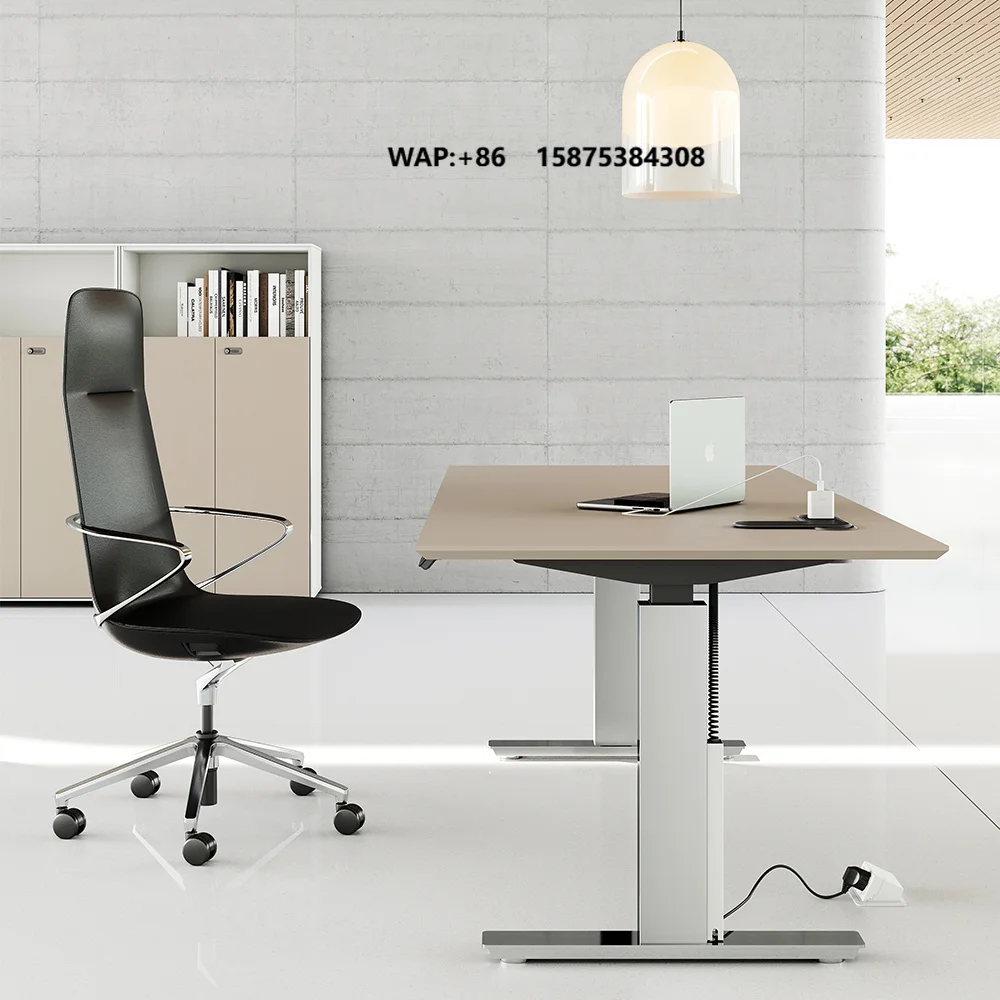 Basic Electric Height Adjustable Desk Office Home Gaming Computer Study Table Industrial Modern Optional Drawers Can Be Selected