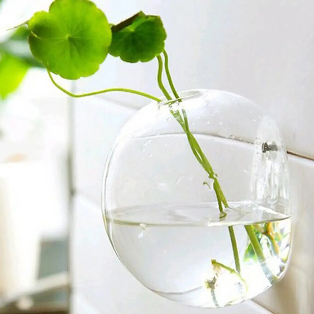 Multipurpose Glass Plant Pot Wall Hanging Flower Vase Hydroponic Container Large Decorative Flowerpot for Event Decor