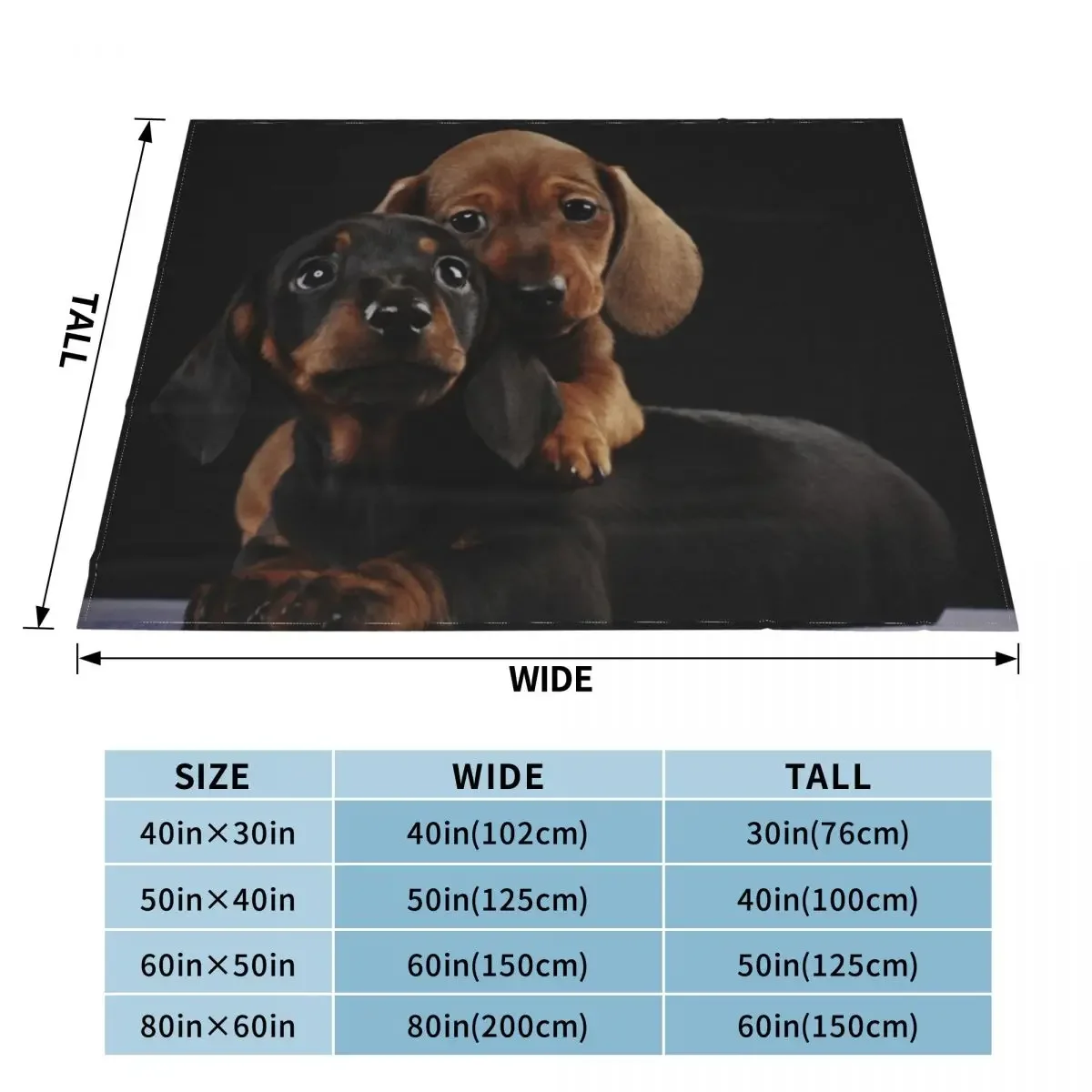 Dachshund Dog portrait photo pupies Throw Blanket cosplay anime Winter beds Luxury Designer Blankets