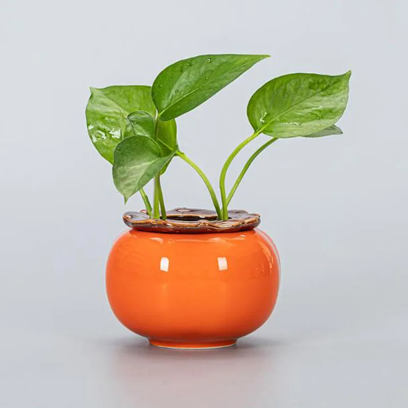Creative Persimmon Hydroponic Flowerpot Planter Vase Office Desktop Ornaments Plant Container Home Decor