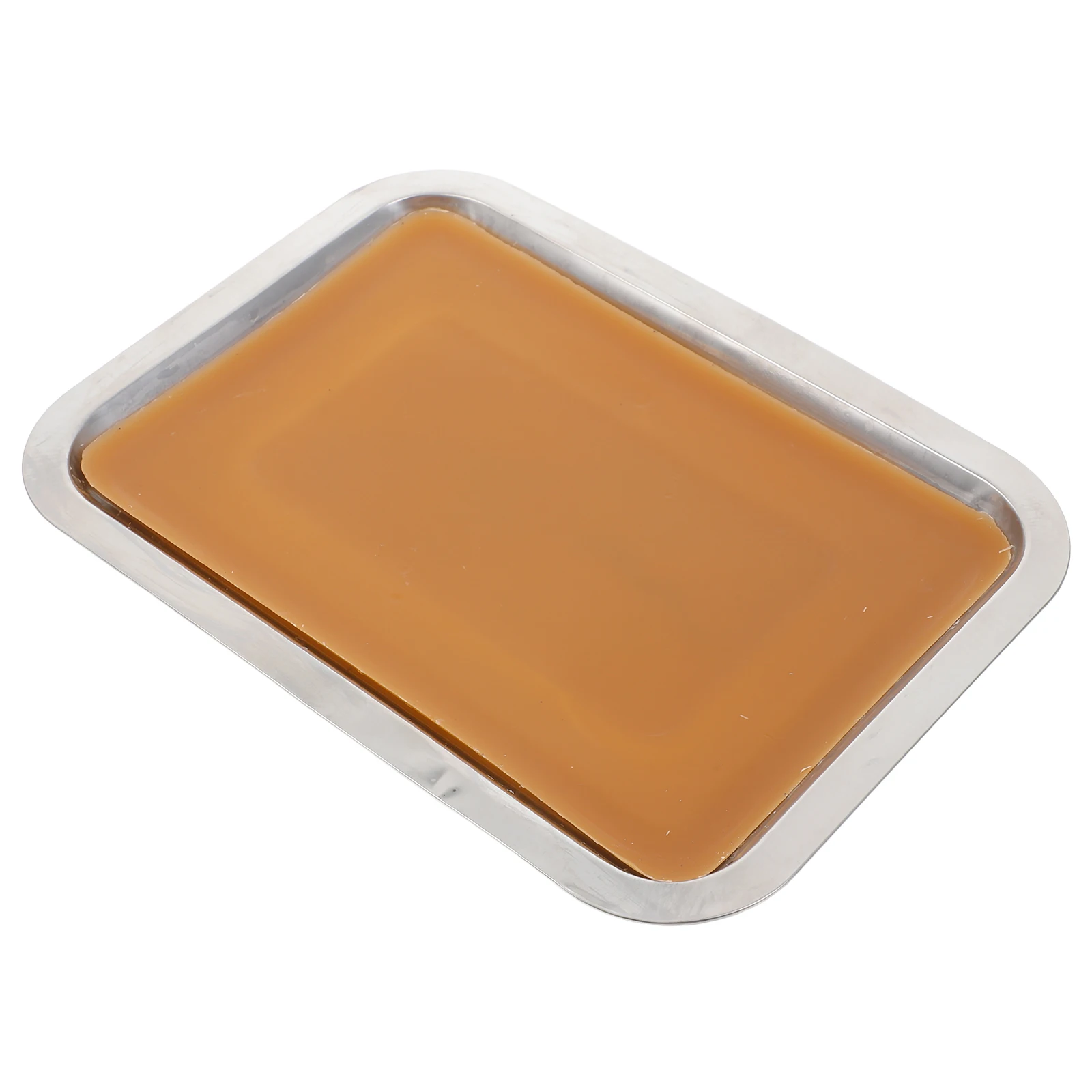 

Biological Experiment Wax Plate Junior Class Tool Laboratory Equipment Classroom Tools Dissection Tray