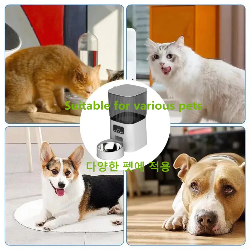 2.1KG/3.8L/5L Pet Dog Feeder Slow Food Cat Automatic Feeding Water Bowl Transparent Food Storage Container For Puppy Kitten