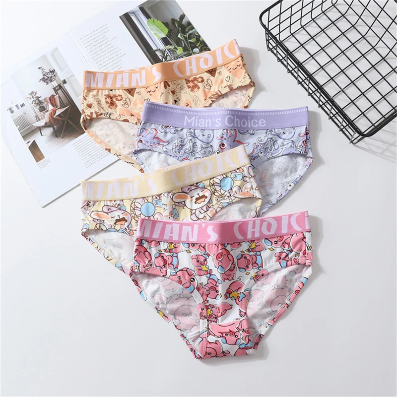 HaleyChan 1Pc Women\'s Underwear Fashion Cartoon Printing Panties Trans Lesbian Tomboy Gay\'s LGBT Boxer Briefs Cotton Lingerie