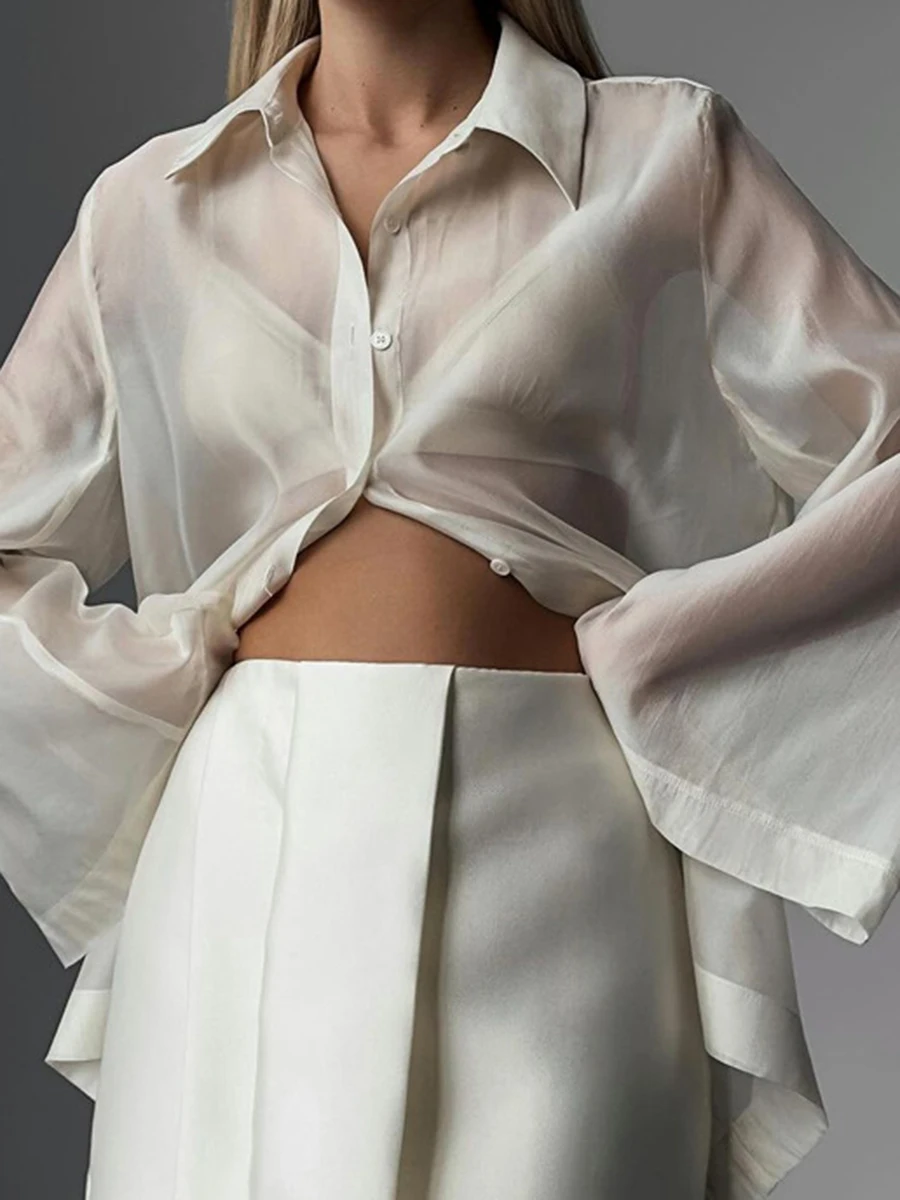 Camicette a maniche lunghe trasparenti solide Camicette da donna con colletto couverture Camicia monopetto Top Estate Nuova camicetta semplice moda casual