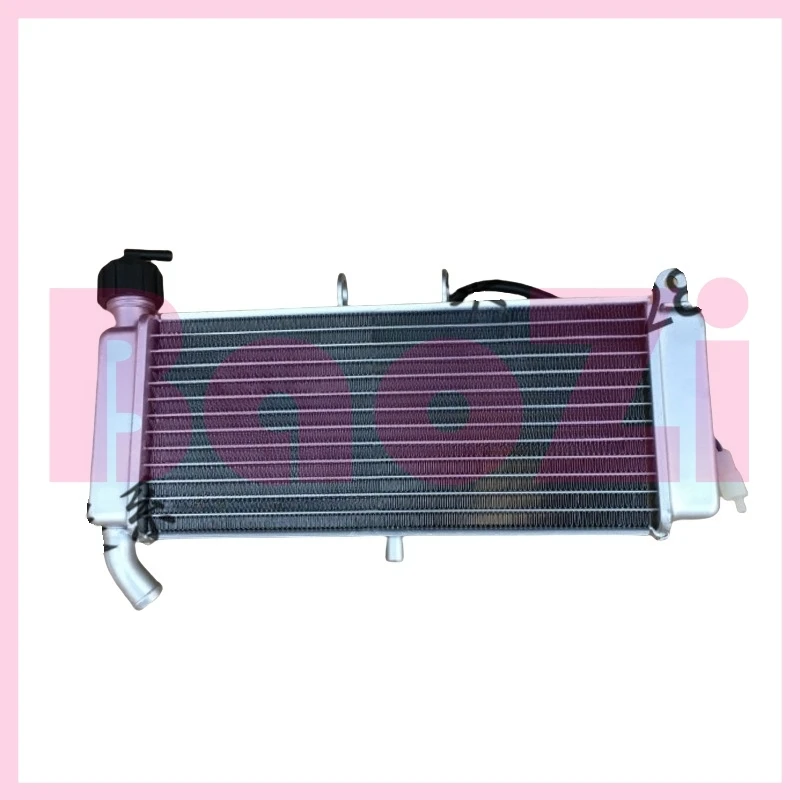 

Water Tank Radiator Assembly for Zonsen Aprilia Gpr125 Gpr150 Apr150-v Universal