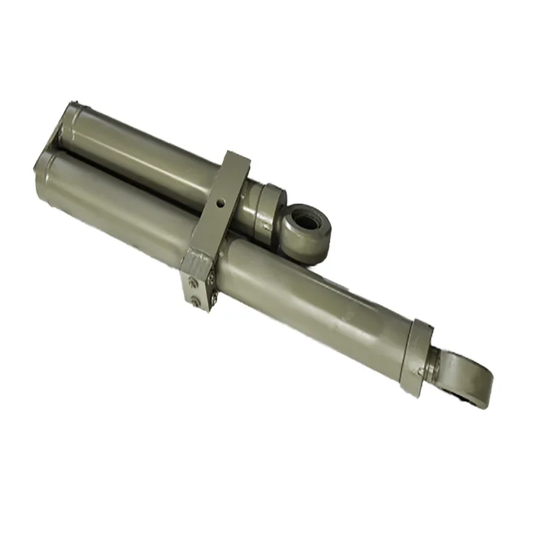 

Custom 24V DC Linear Actuator with Quiet Low Noise Motor Waterproof for DIY Chicken Coop Recliner Permanent Magnet Construction