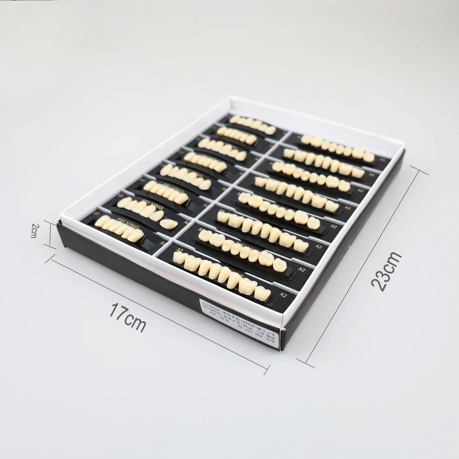 Dental Oral Materials Teaching Model A2 of Maximum Standard Size Teeth Upper and Lower Model for Replacement Orthodontic