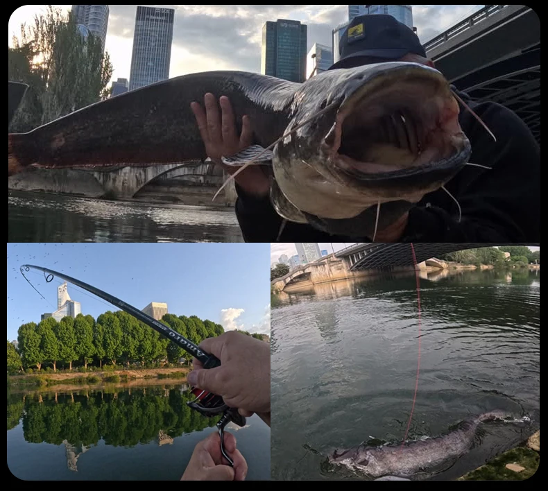 PURELURE Amaro Spinnrute für Bass, lange Wurfangelrute aus hochwertigem Carbon mit FUJI-Zubehör, Reise-Castingrute – Detail 4