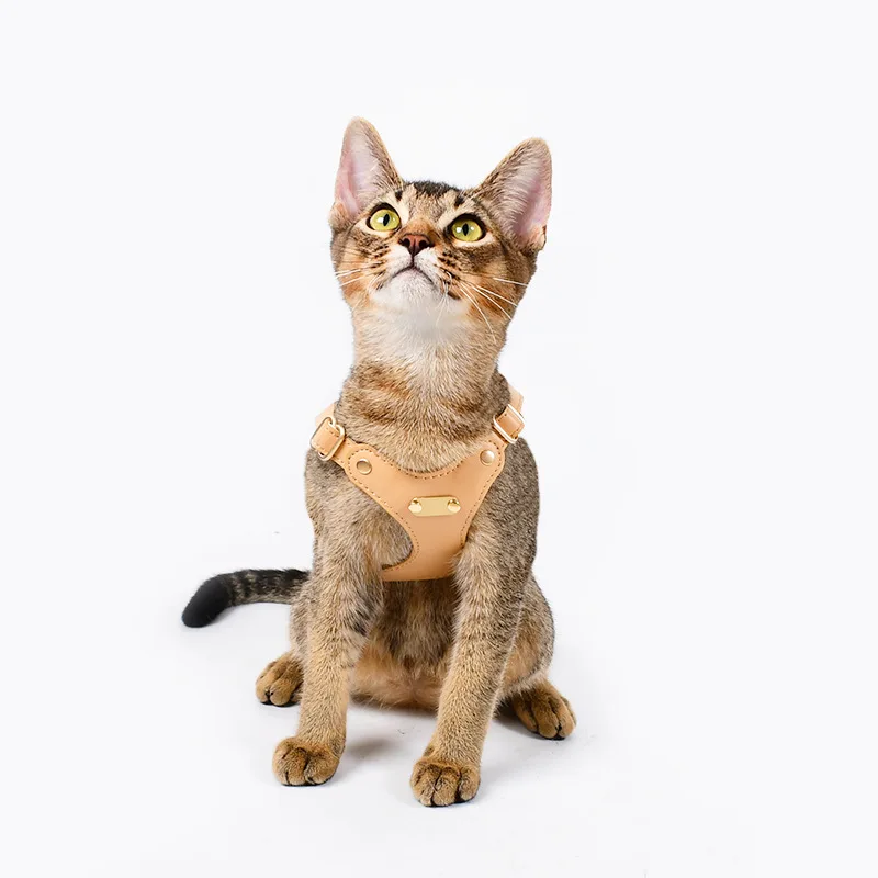 Luxury leather cat harness leash set Soft leather bowknot cat collar adjustable outdoor pet traction rope metal buckle pet vest