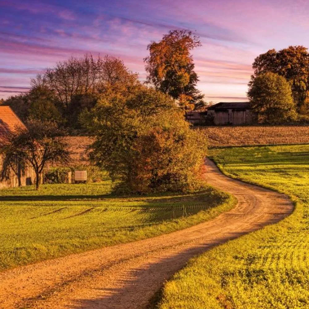 

SPT 25KG 35KG Digital RC Servo Large Torque 180° 360° Metal Gear Waterproof Motor for RC Crawler Car SCX10 TRX4 Drift Robot