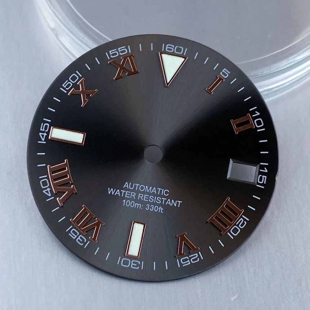 Roman Numbers 29mm Nologo Watch Sunburst Dial Set Date Display Fit NH35 NH36 4R35 4R36 Automatic Movement Watch Accessories