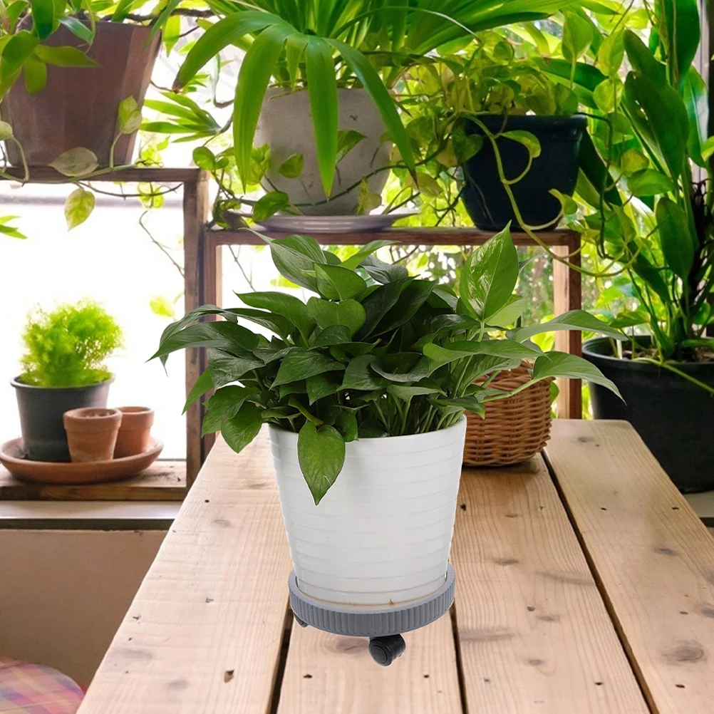 

PP Material Movable Plant Stand with Wheels for Various Pots Simple Fashion Home Decor Flowerpot Base Plant Tray with Wheels