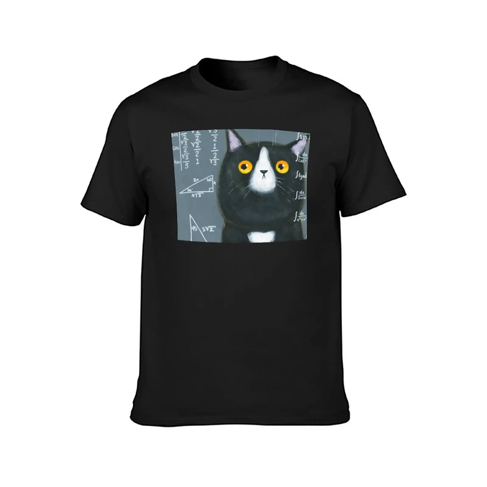 Maths Cat T-Shirt customizeds blacks mens graphic t-shirts