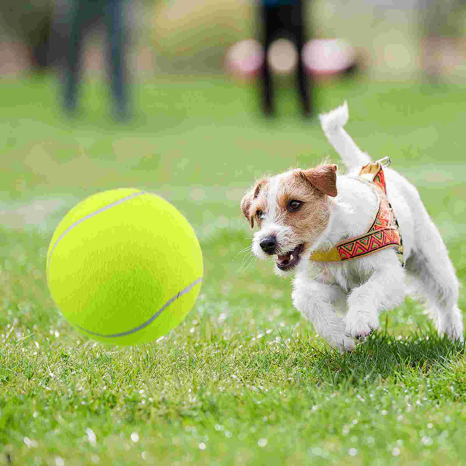 9 5-inch Large Child outside Toys Pet Dog Playing Outdoor Playset 24cm Tennis Ball