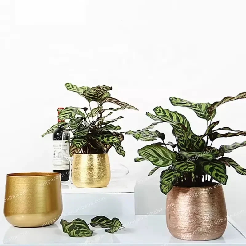 for Home Garden Decorative Metal Flower Pot Iron Planter Steel Bonsai Pot Gold