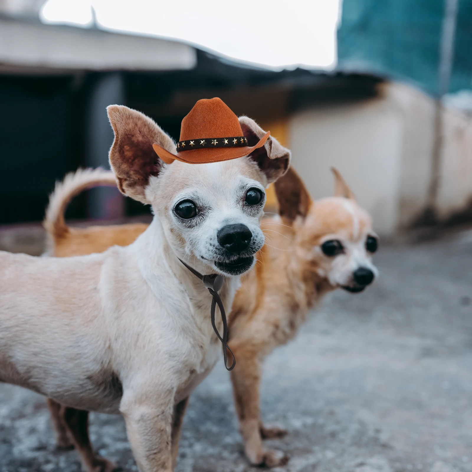 

Dog Cowboy Hat Brown Decorative Party Headdress Lovely Pet Costume Star Pattern Breathable Comfortable Lightweight