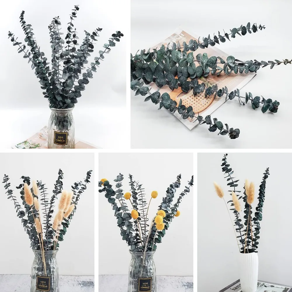 5/10/20 stücke künstlich getrocknete konservierte Eukalyptus blätter Zweige Duschen Hochzeits arrangements Eukalyptu Pflanzen Vase Wohnkultur – Detail 22