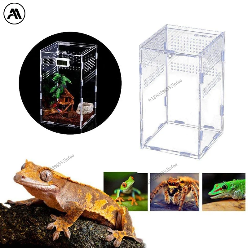 Boîte d'élevage de reptiles en acrylique, Terrarium Transparent, habitat d'insecte, araignée, lézard, Scorpion, Cage d'alimentation, boîtier arboréal