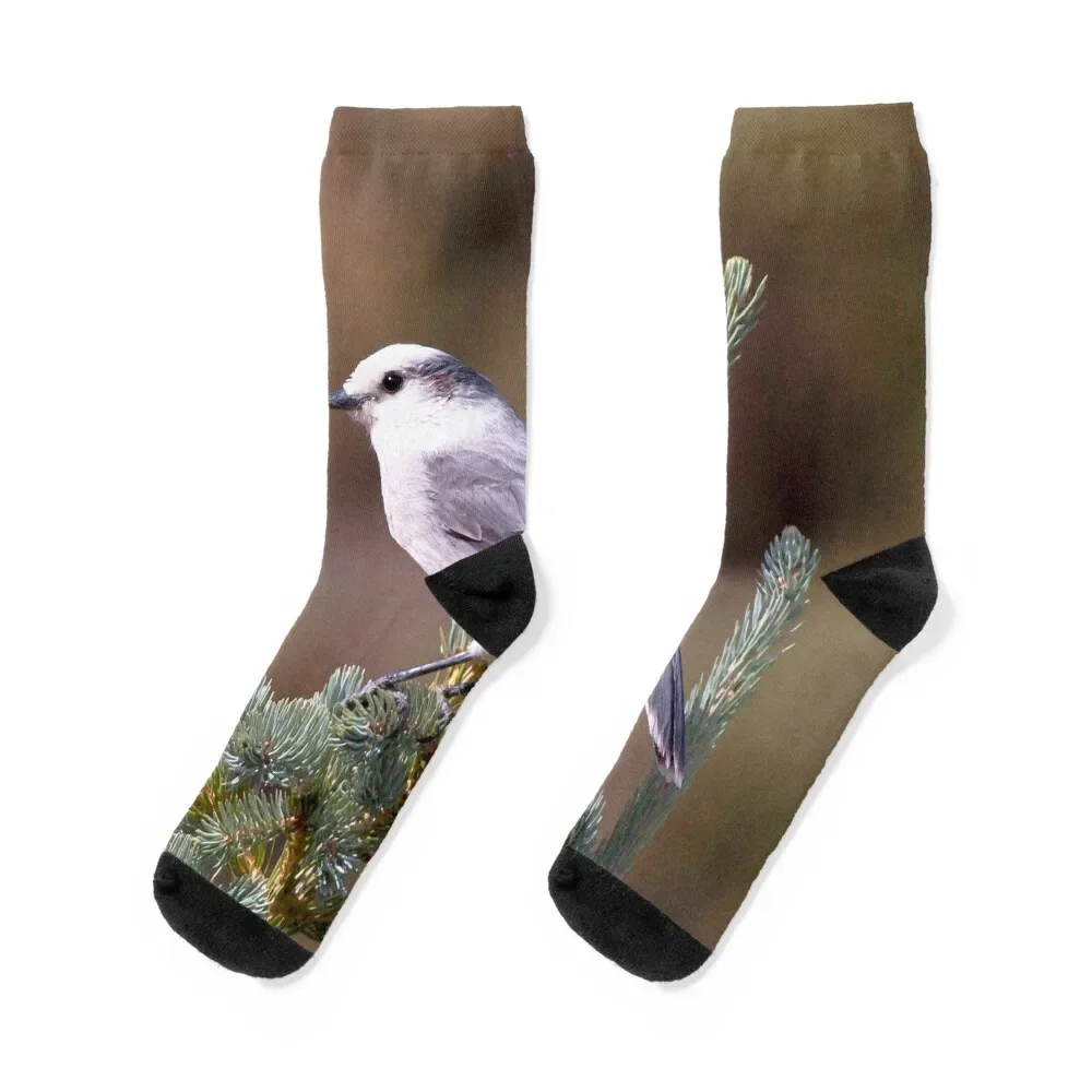 

Watercolor Bird, Canada Jay 01, Poudre Trail, RMNP, Colorado Socks bright garter designer Socks Girl Men's