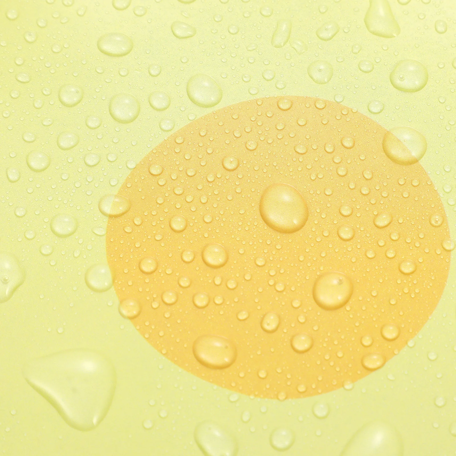 

40Pcs Elegant Flower Shaped Disposable Plates Lightweight Party Tableware Food Serving Disposable Party Plates