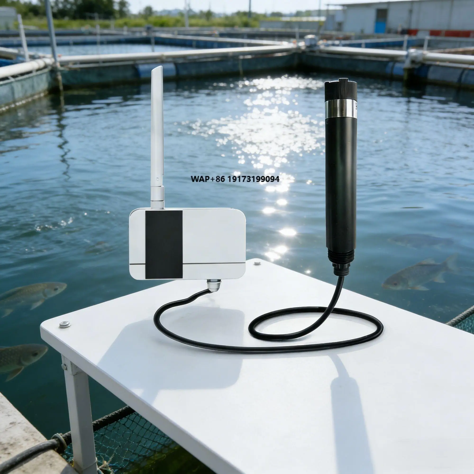 Digital Lorawan RS4…