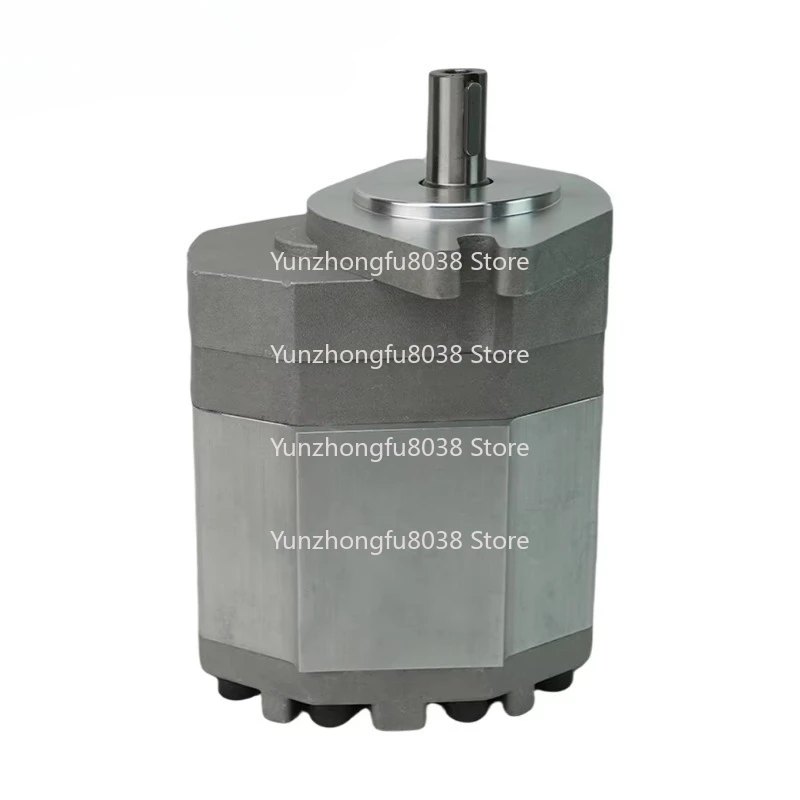Series Hydraulic Gear Motor 23ccm 1500 2000 3000 rpm High Speed Crane Lawn Mower Hydraulic Drive Gear Motor