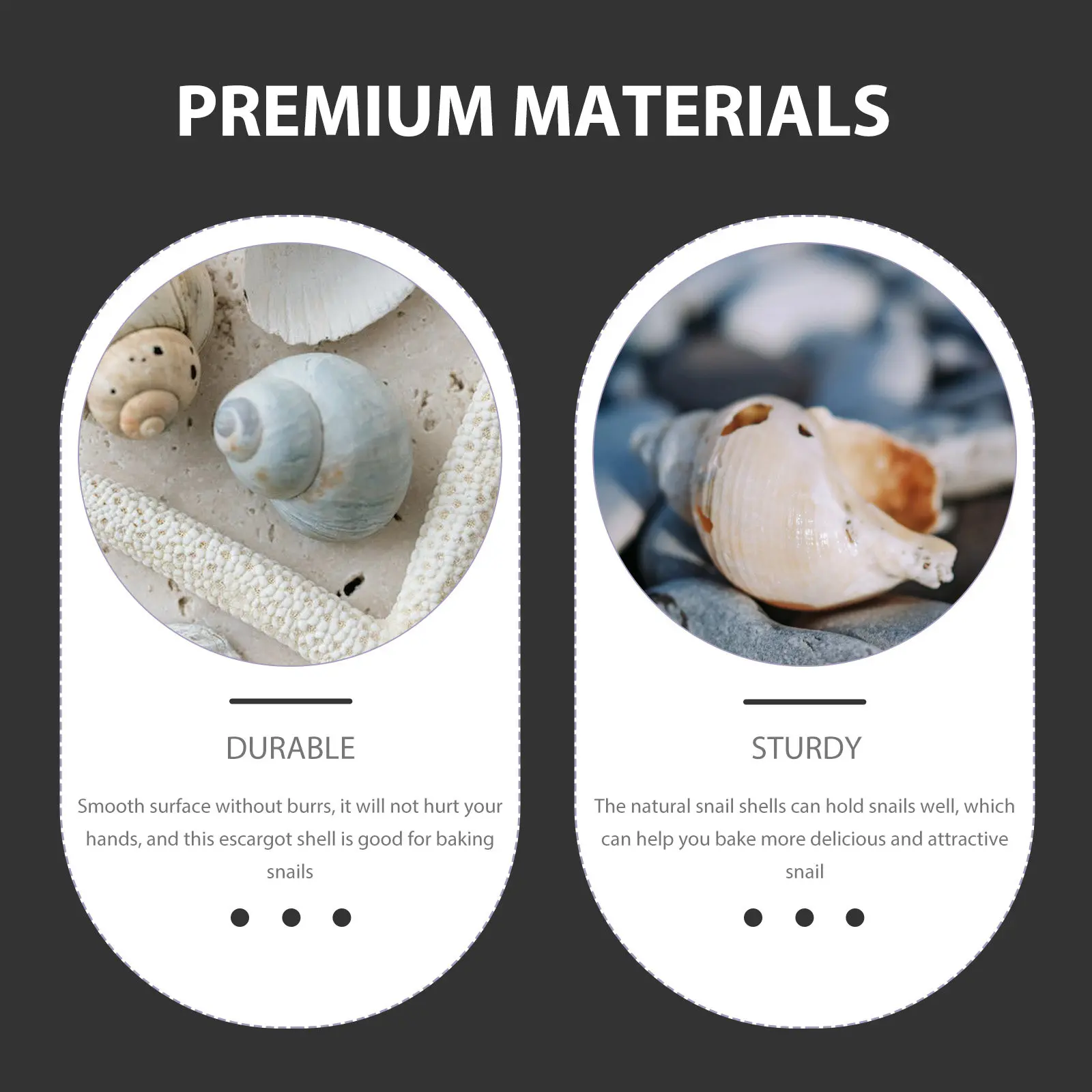 Natural Snail Shells 5 Pack Escargot Baking Shells Heat Resistant Reusable for Oven Microwave Freezer