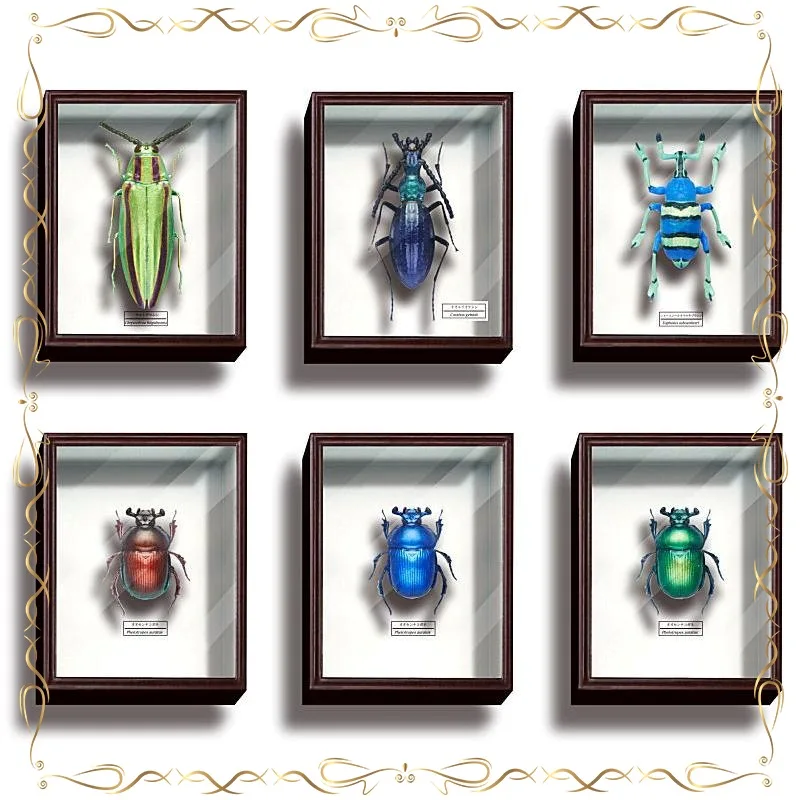 

Insect Gashapon Delicate Mini Simulation Beetle Specimen Refrigerator Magnet Cute Cartoon Originality Insect Boxed Tile Gifts