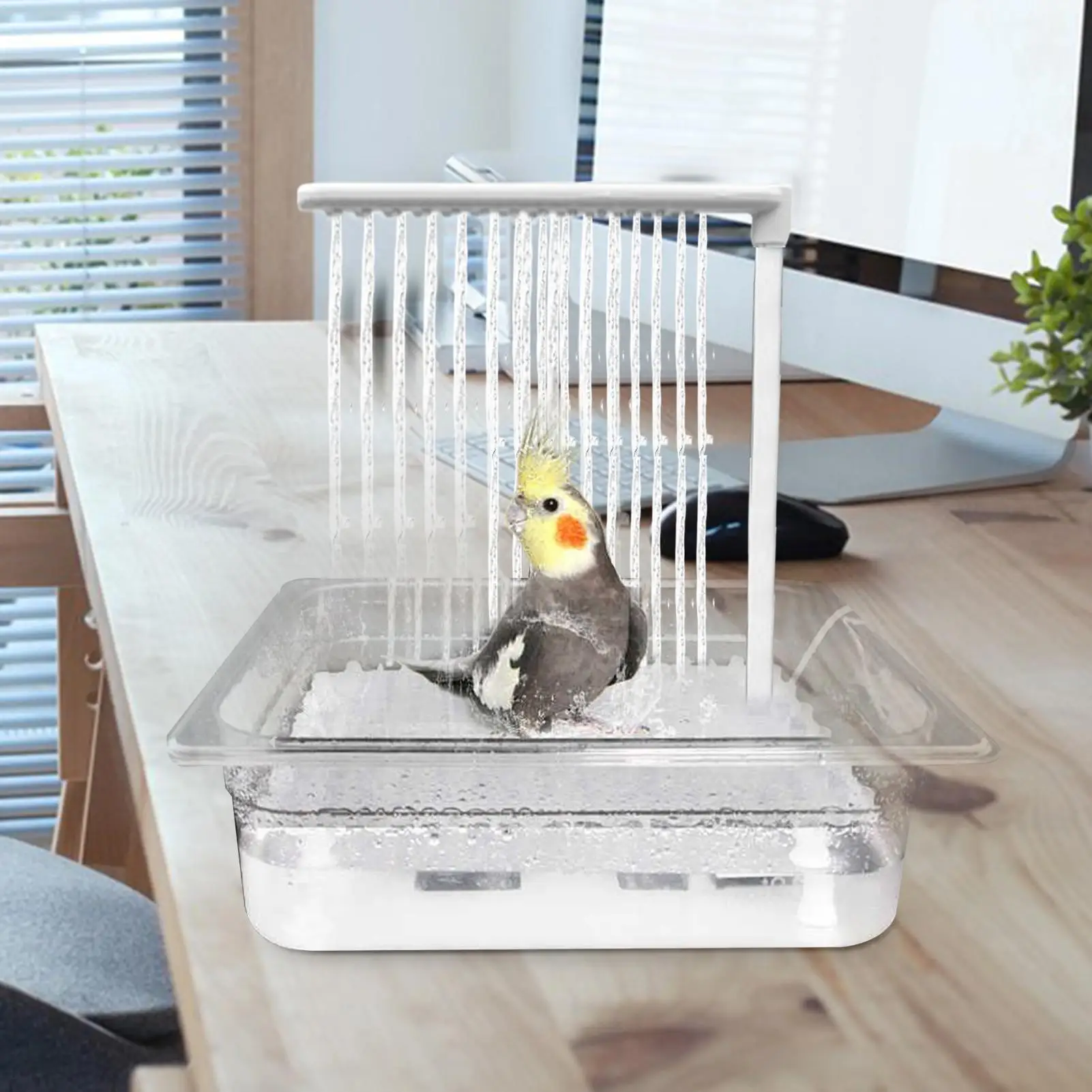 Thumbnail 3 - #37 Best Bird Cage Bird Baths to Buy In 2026