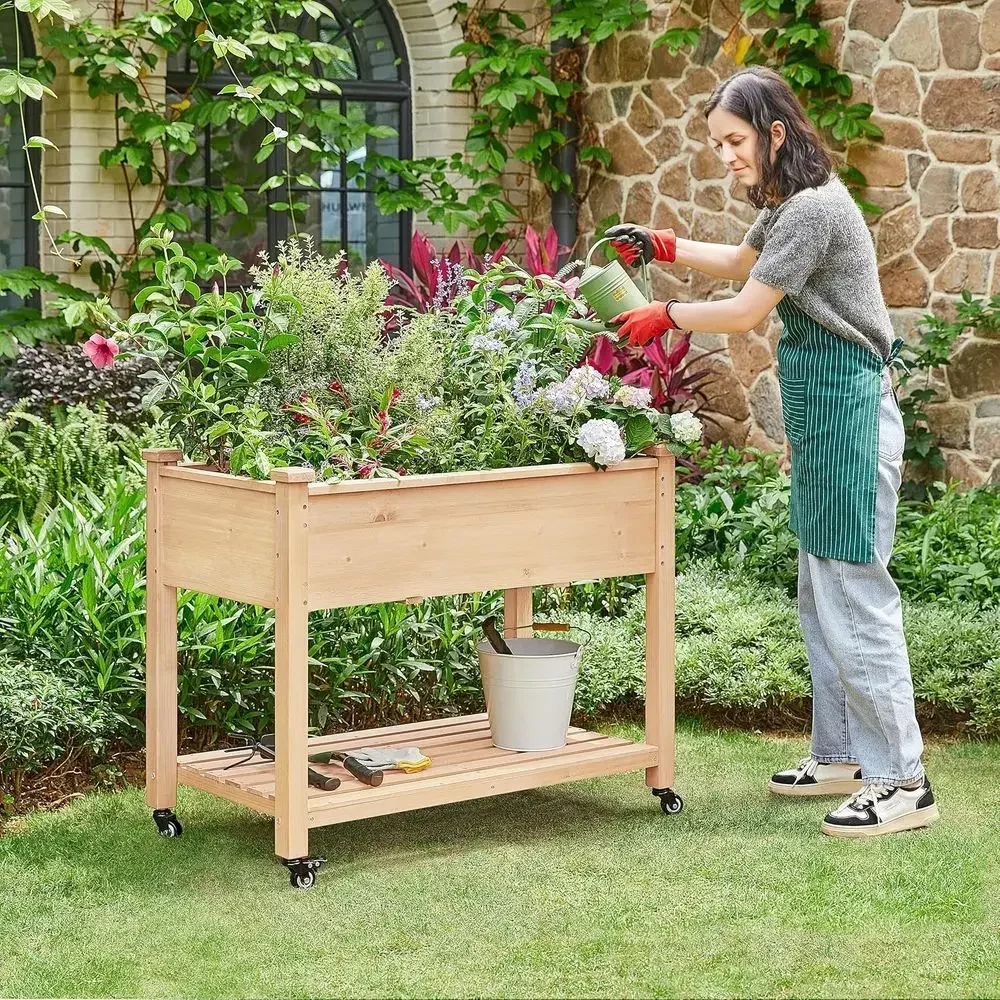 Dual Wooden Elevated Garden Beds with Wheels for Growing Vegetables and Herbs