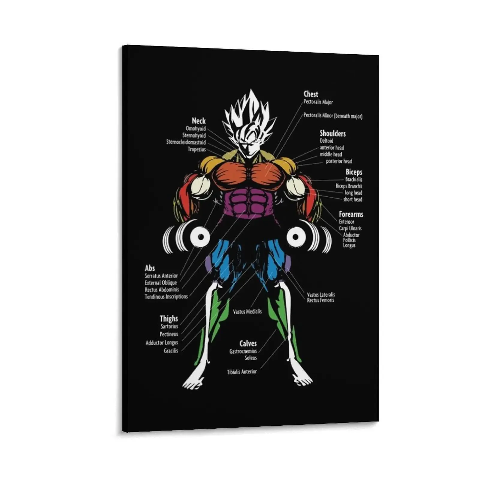 

Anatomy Muscle Chart Diagram Canvas Painting posters for room Decoration
