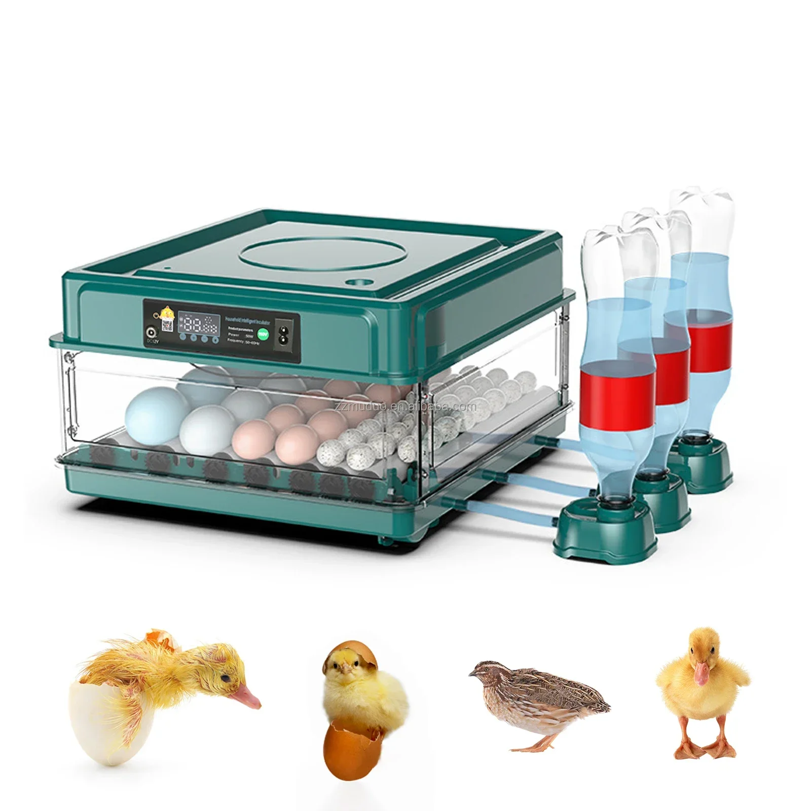 38 Eggs Incubator for Hatching Chicks Eggs Incubator Machine Fully Automatic Hatchery-11