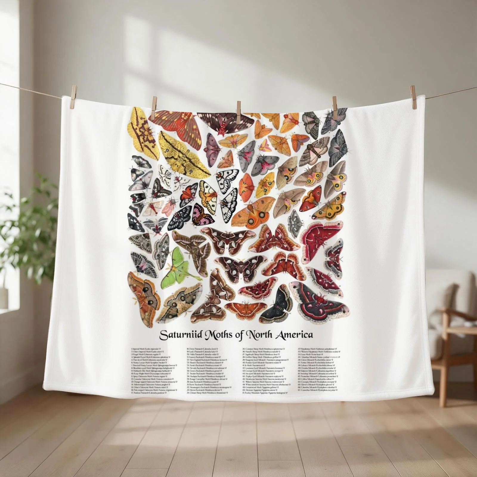 New Saturniid Moths of North America Throw Blanket Blankets Sofas Of Decoration Thin Softest Camping Blankets