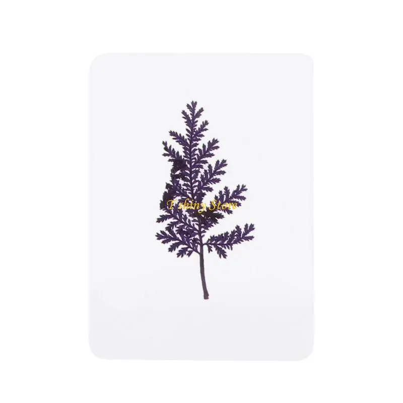 N58F Natural Dried Flowers and Leaves Plant Fillers for Resin Jewelry Pendant Bracelet Scrapbooking DIY Arts Cards