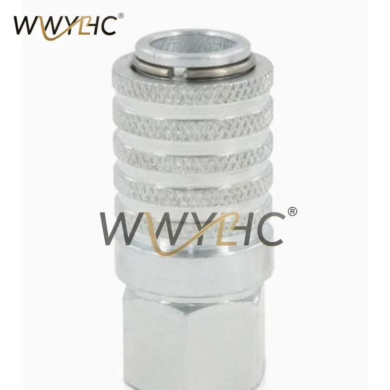 Suitable for PD242 Series PD Steel Test Ports and Diagnostic Equipment Quick Connectors with Female Heads