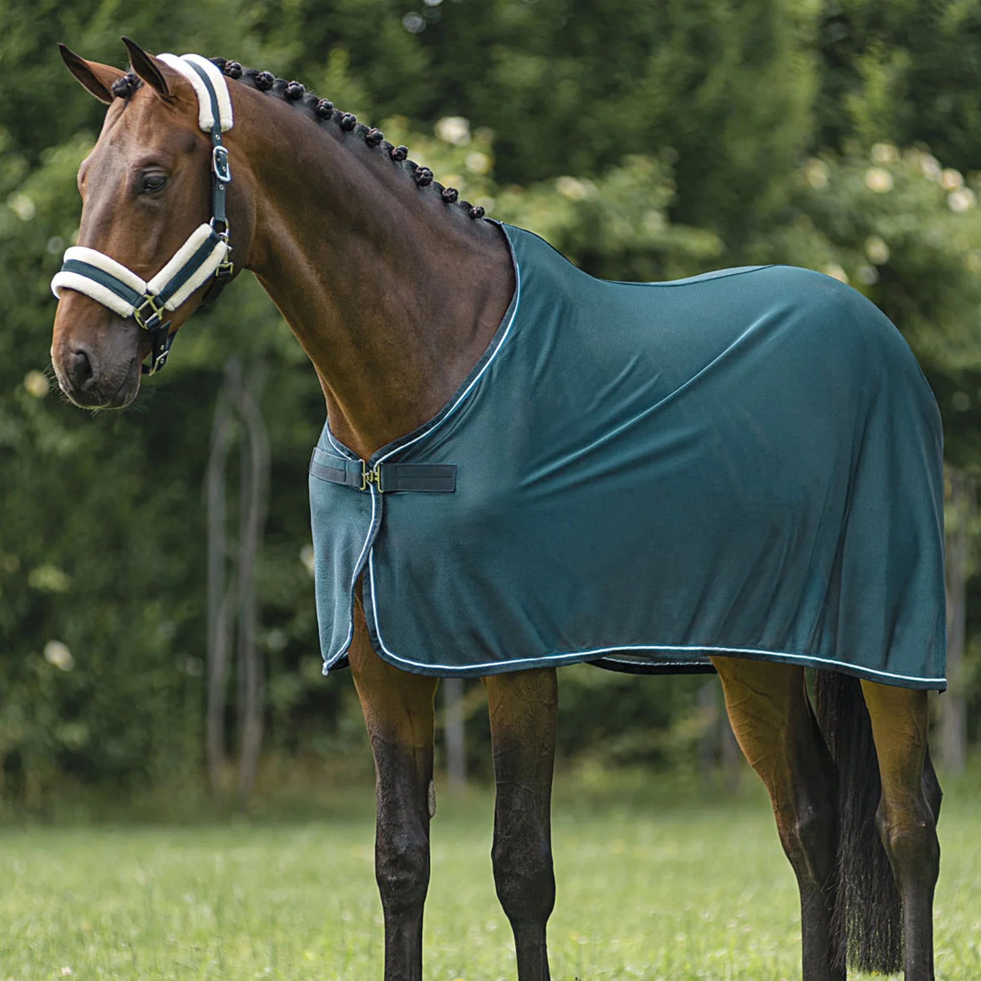 L'attrezzatura equestre all'ingrosso personalizza la coperta equina coperta per cavalli in rete traspirante lenzuolo per cavalli di alta qualità per l'estate