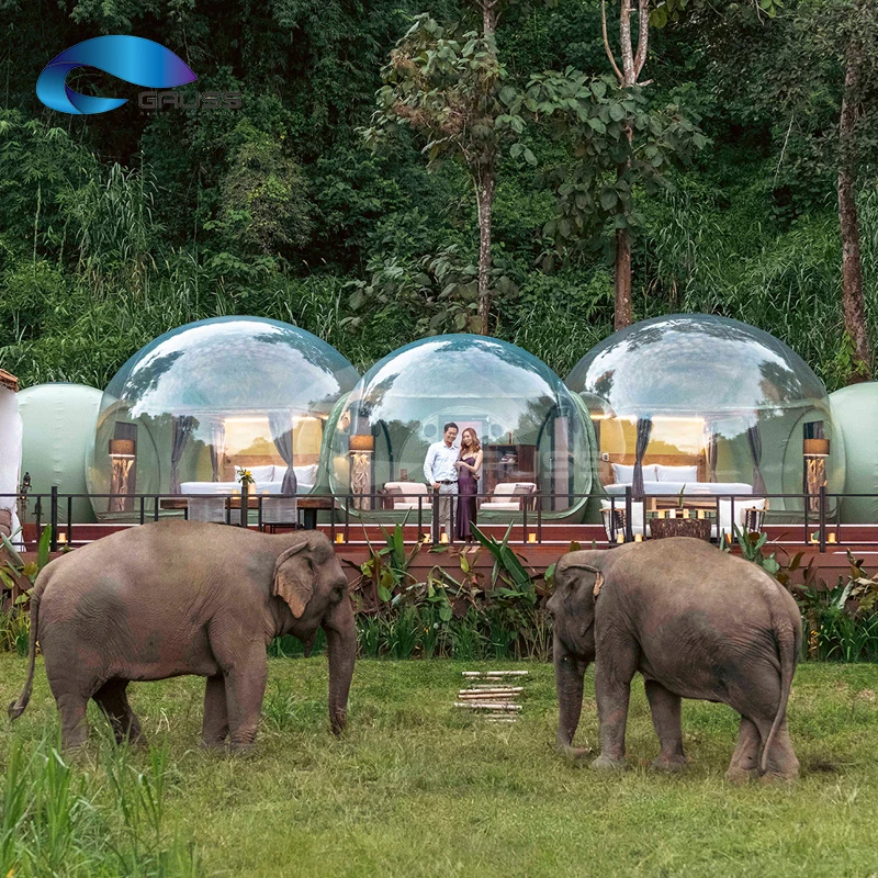 2026 New Luxury 5M Giant Tent Transparent Inflatable Bubble Dome House for Outdoor Glamping  Accommodation with 360-Degree View