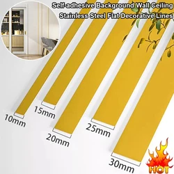 2.44M Stainless Steel Flat Decorative Lines self-adhesive Background Wall Ceiling Edge Strip home decor DIY Mirror Wall Sticker