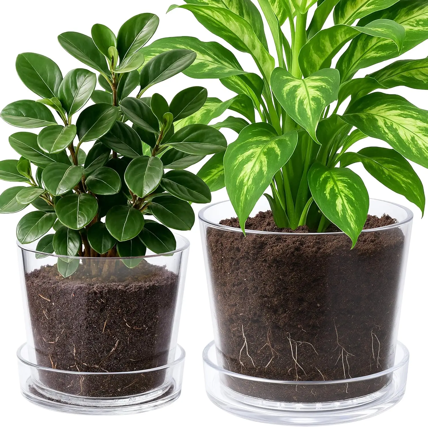 

8-дюймовый, 10-дюймовый прозрачный акриловый горшок для комнатных растений с поддоном, горшок для орхидей с дренажными отверстиями, глубокий поддон для дна