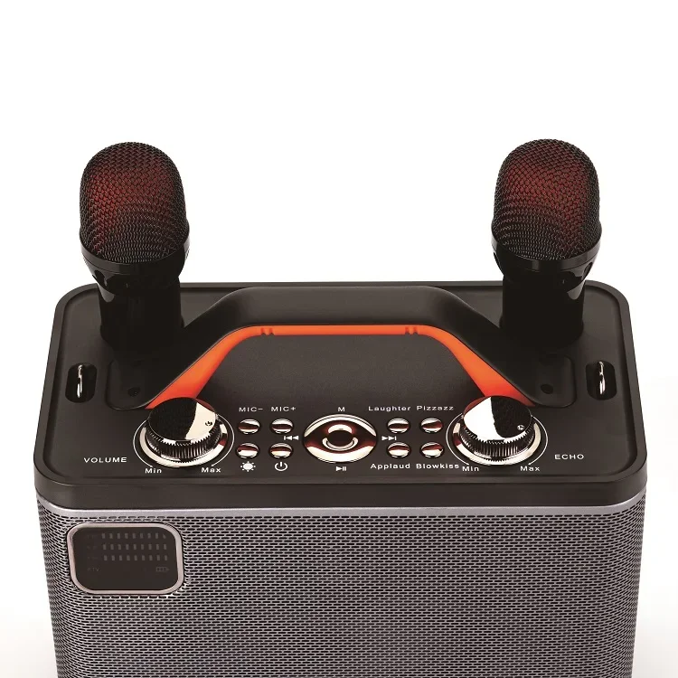 Mini Karaoke Machine 25w Bluetooth Speaker Loud Stereo Sound Bluetooth Karaoke Machine with Screen