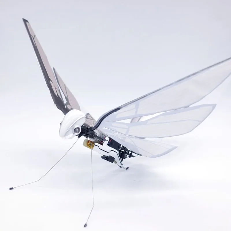 Remote Control Bionic Bird Flyer Flapping Wings Insect Bird Science Children's Small Toys