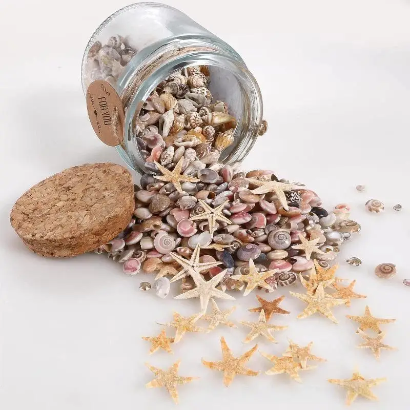 Mixed Spiral Sea Shell Beads 200/400/1000Pcs Eco-Friendly Assorted Beads for DIY Art Project Fish Tank Ornament