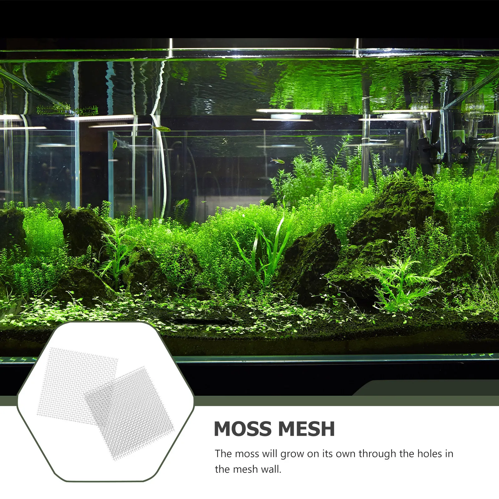 15Pcs Aquatic Moss Mesh Stainl - Planted Aquarium Carpet Plant recension och pris