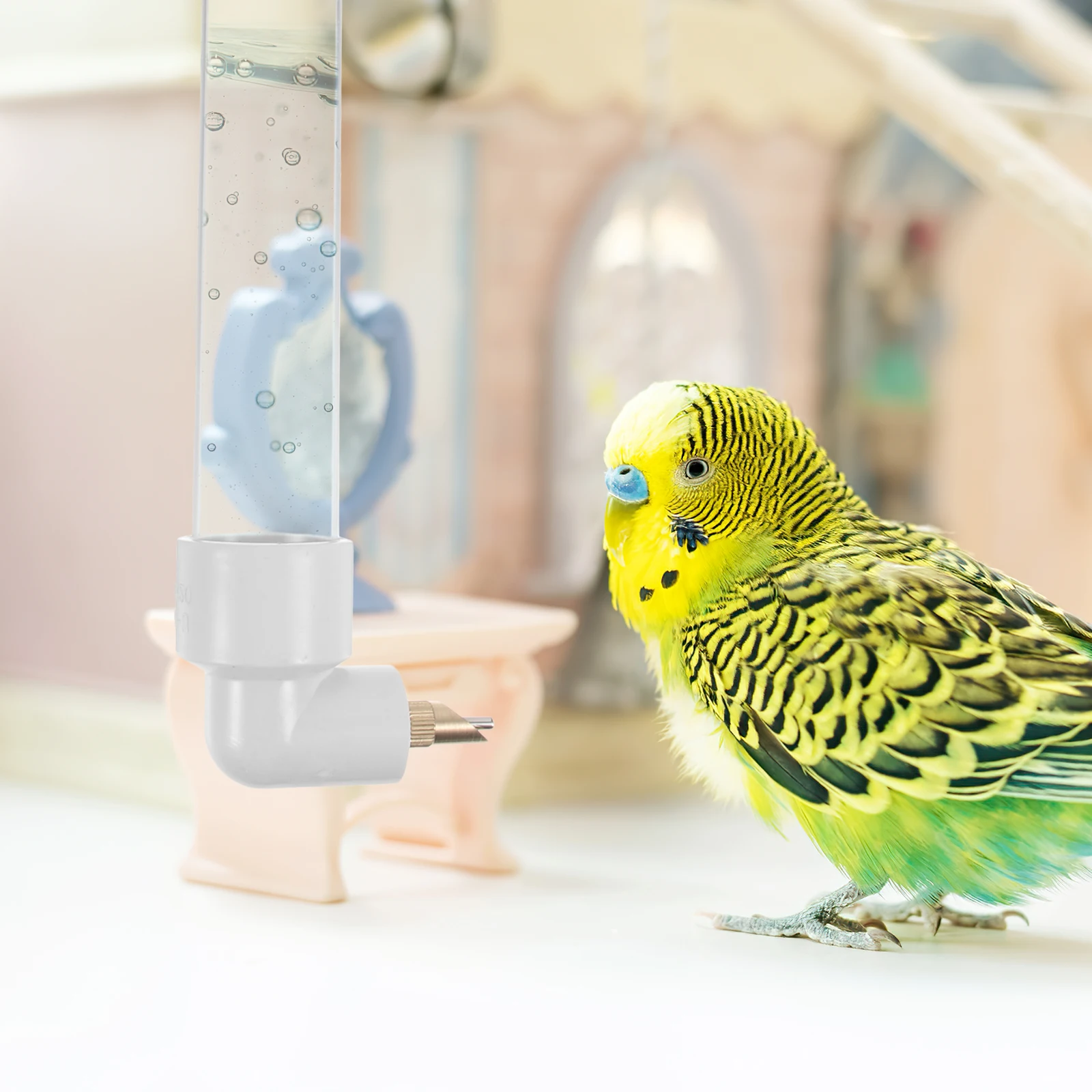 

Parrot Water Feeder 2 Sets Reusable Plastic Container for Birds Care Products Bird Cage Dispenser Hanging Bottle
