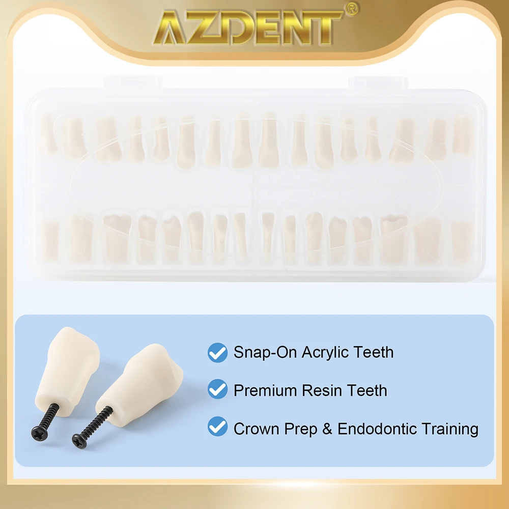 

AZDENT Dental Practice Teeth Model Typodont 32Pcs Acrylic Set Crown Resin Denture Teeth Prep Endo Study Model Replacement Screw