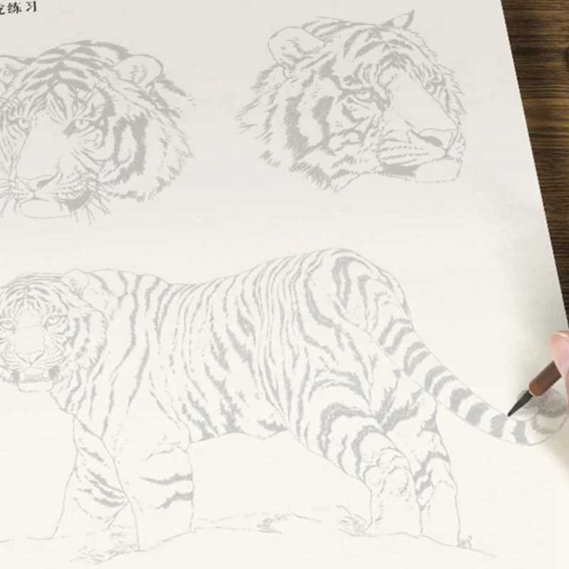 ABBN-4Pcs/Set Introduction To Chinese Painting And White Drawing Book For Flower Animal Landscape Introduction To Beginners