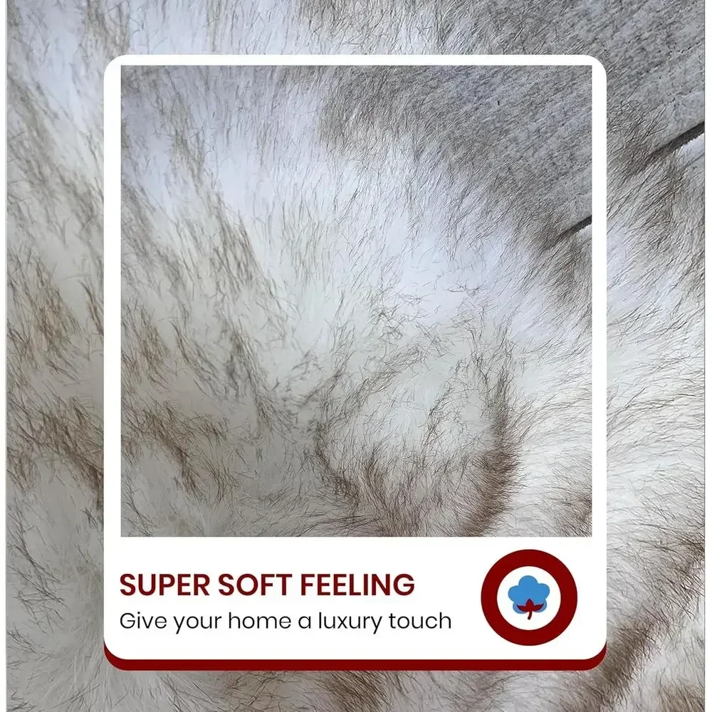 Hypoallergenic Silky Shag Rug, Plush Shaggy Carpet for Bedrooms and Living Rooms, 6x10 Feet, White with Brown Tips view 3