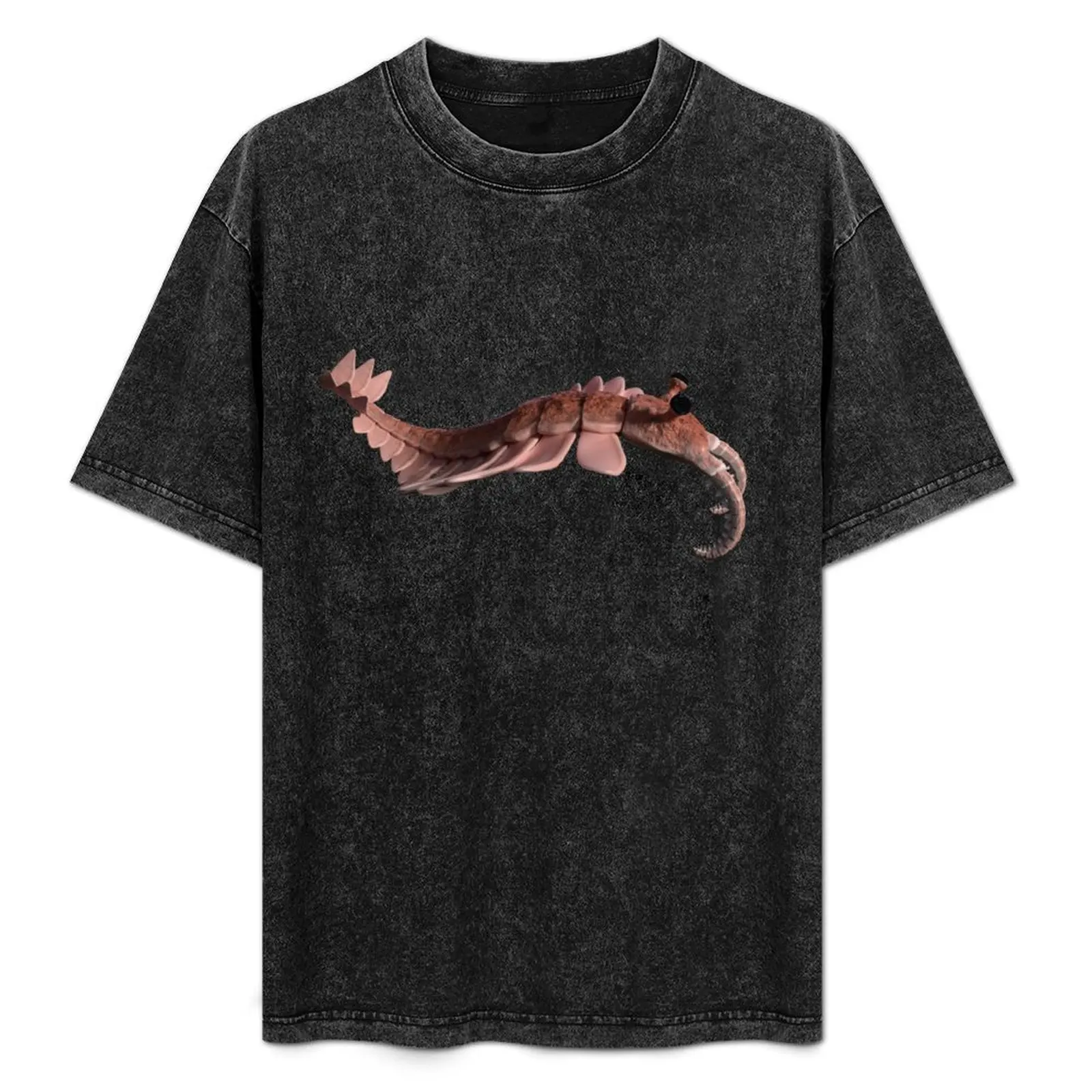 

Anomalocaris, creature of the Cambrian explosion T-Shirt Modern Print Casual T-Shirt