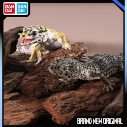 BANDAI Biological Encyclopedia Figures Model Thorny armored armadillo lizard  Gashapon Original toys